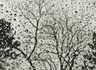 비오는날 자동차 습기 제거 방법