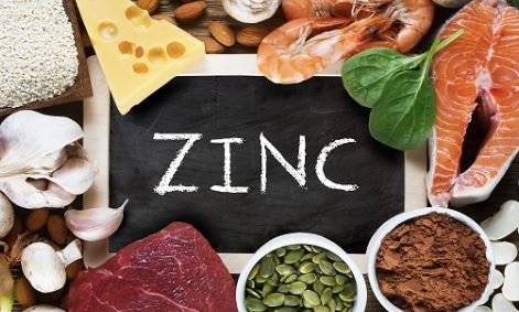 아연섭취효과