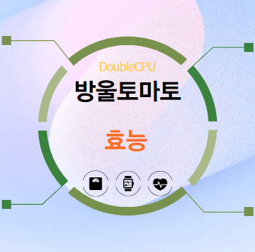 방울토마토 효능 알아보기