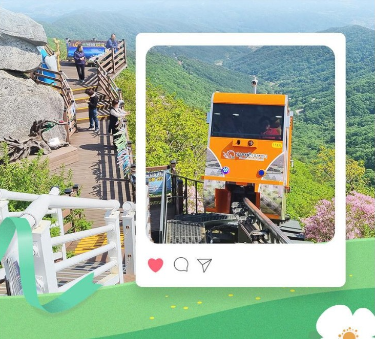대봉산 모노레일 예약