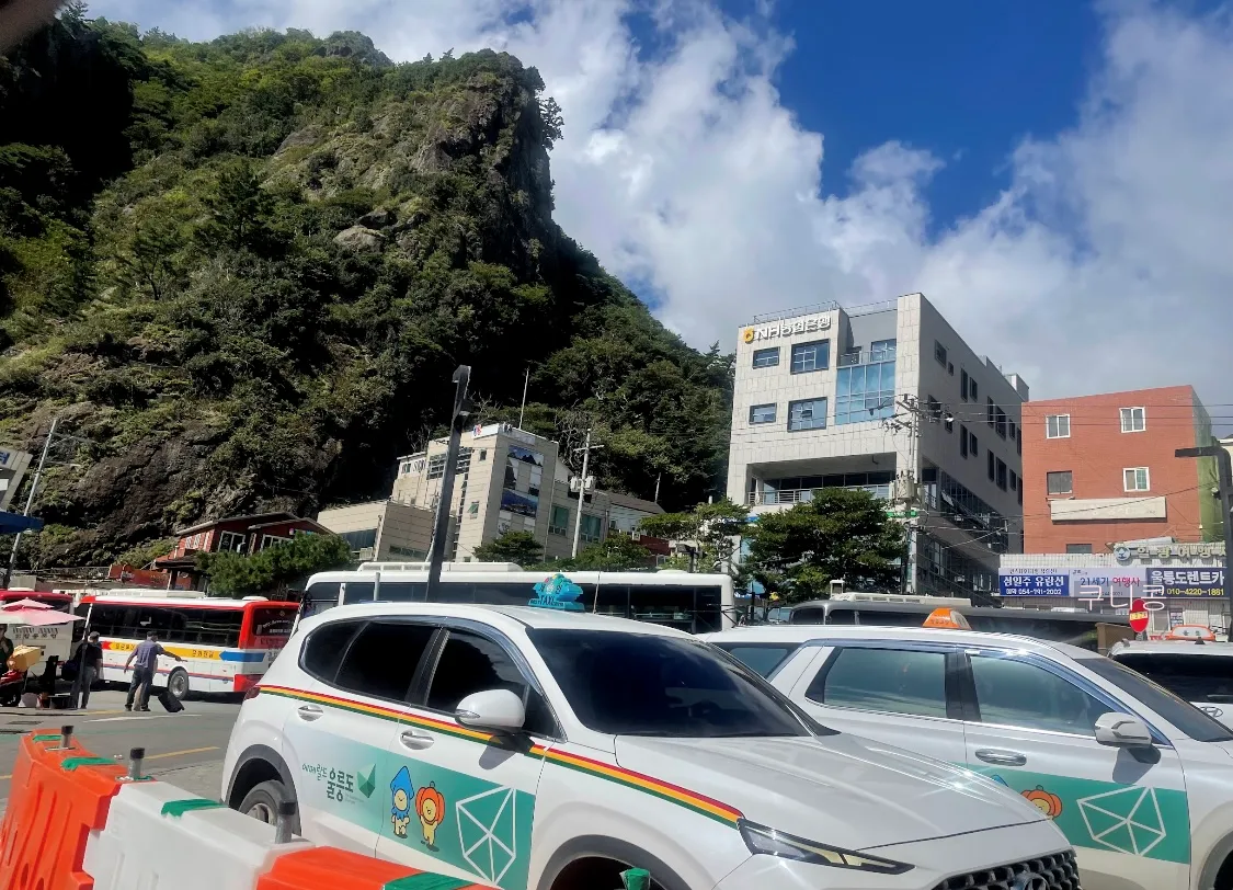 2박3일-국내여행-울릉도-택시투어-렌트-고민끝에-자차-선택한-이유