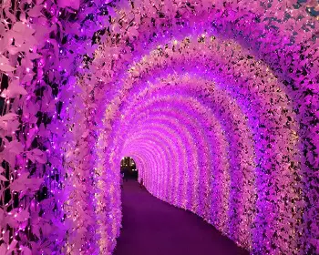 아침고요수목원 오색별빛정원전_18