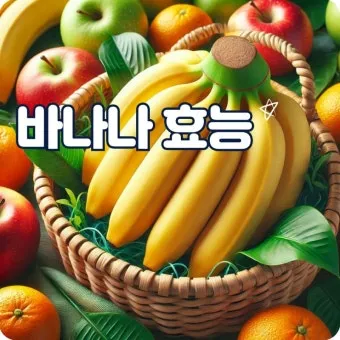 바나나 효능 식이섬유 포만감 운동 전후 효과_22