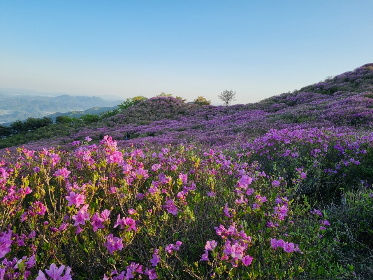 산청 가볼만한곳 베스트10
