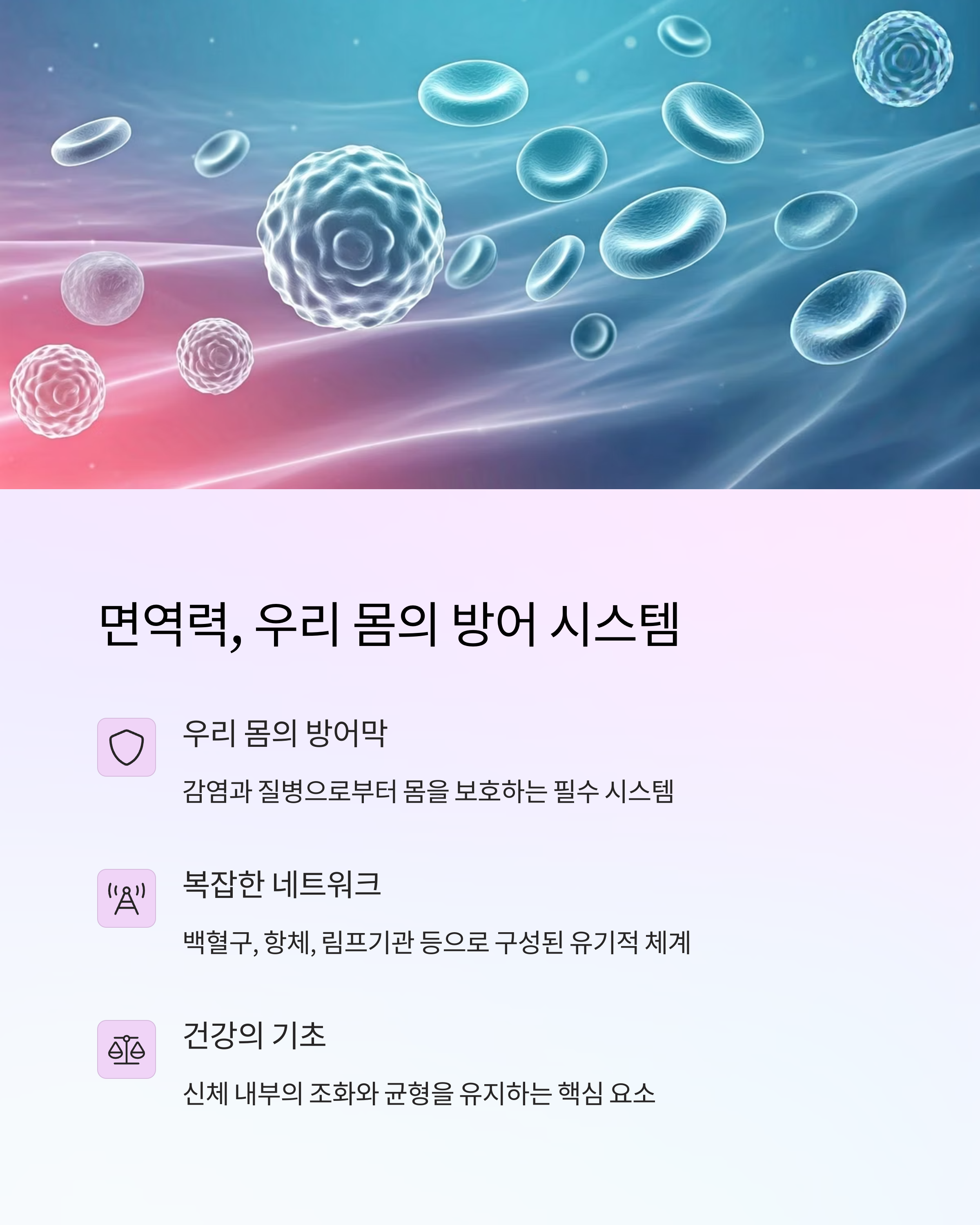 항암치료와 면역력 우리몸의 방어시스템