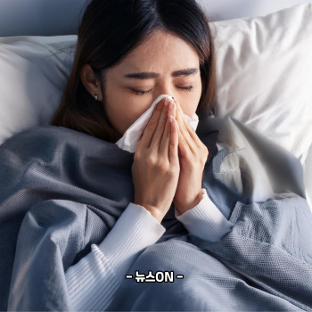 a형 독감 증상
