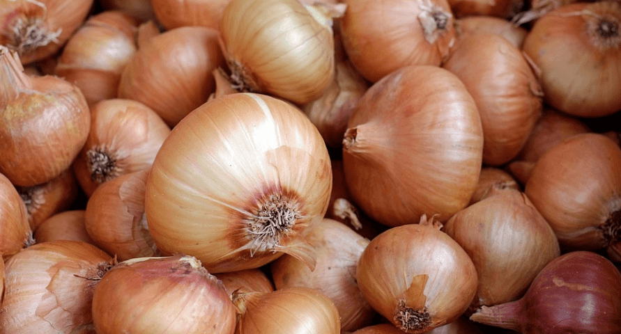 췌장에 좋은 음식 사진 양파