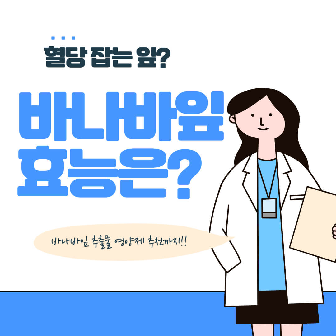 혈당 잡는 잎 바나바잎 효능 안내 이미지, 영양제 추천 포함 건강정보 카드형 포스터