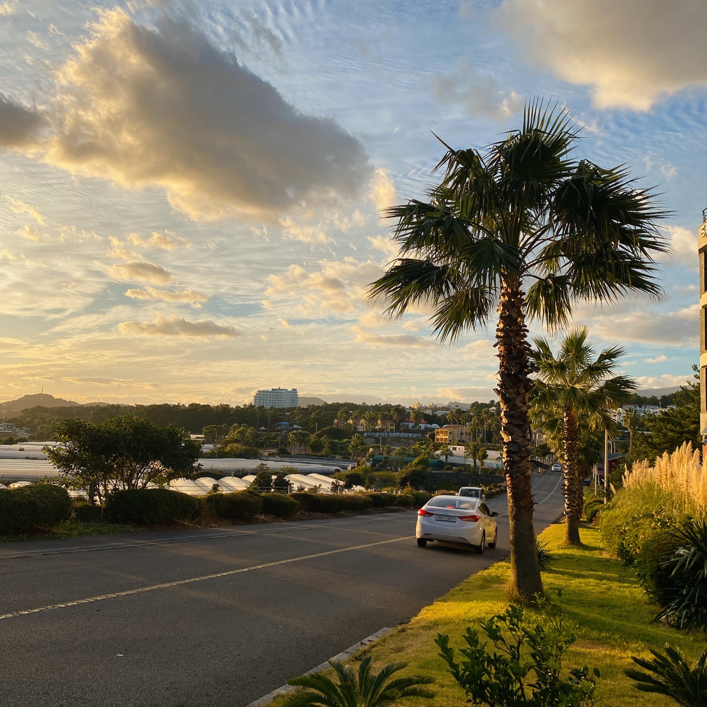 제주 쇠소깍 오션뷰 노을 맛집 보래드베이커스