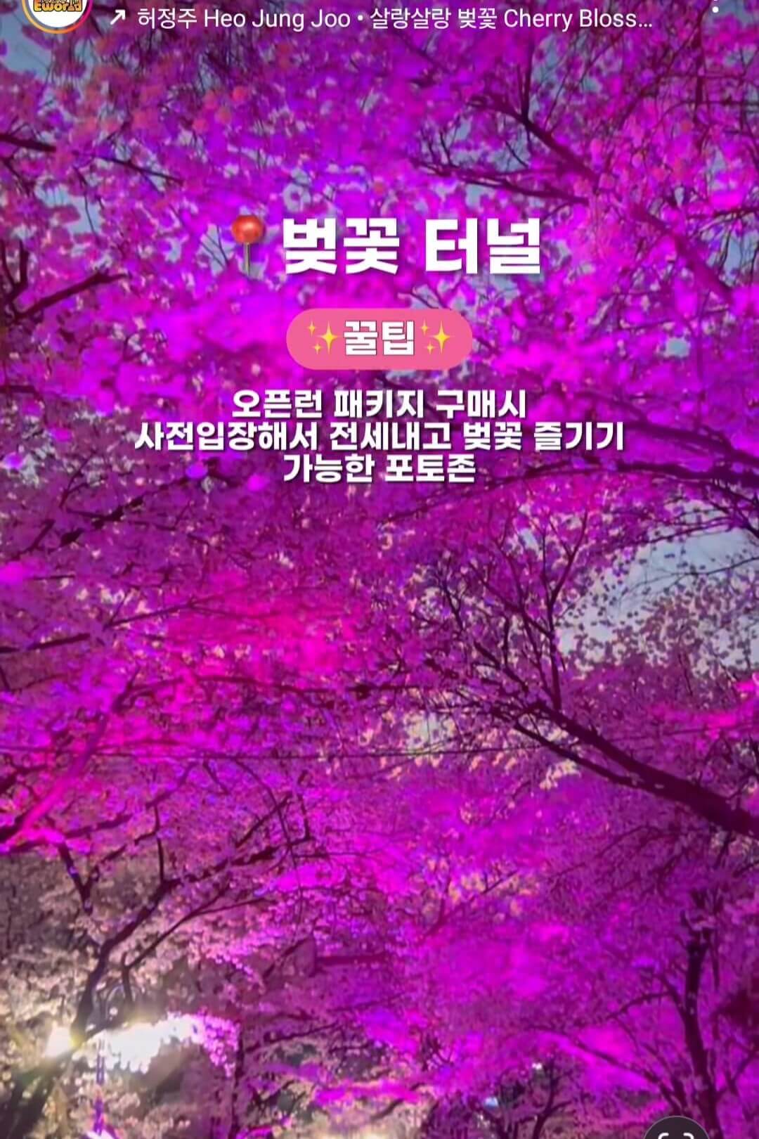 하나 투어 국내 여행