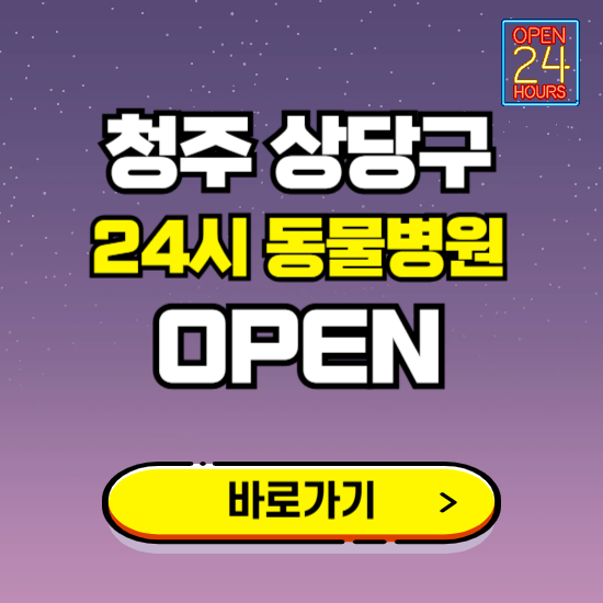 청주시 상당구 24시 동물병원 진료하는 곳 ❘ 설날 휴일 야간 심야 문여는곳 찾기 ❘ 응급진료