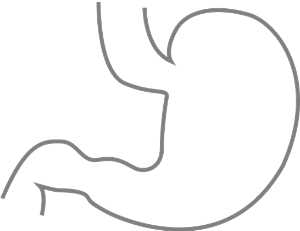 위내시경금식시간비용-사진