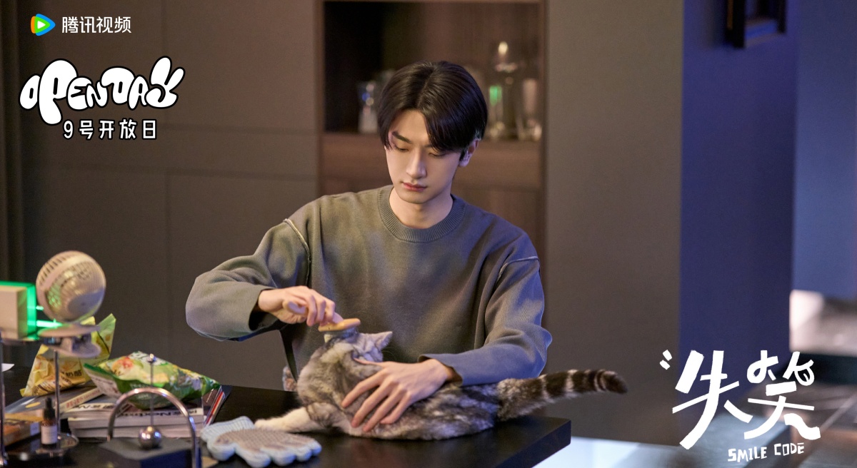 실소-린이-고양이 브러쉬하는 모습