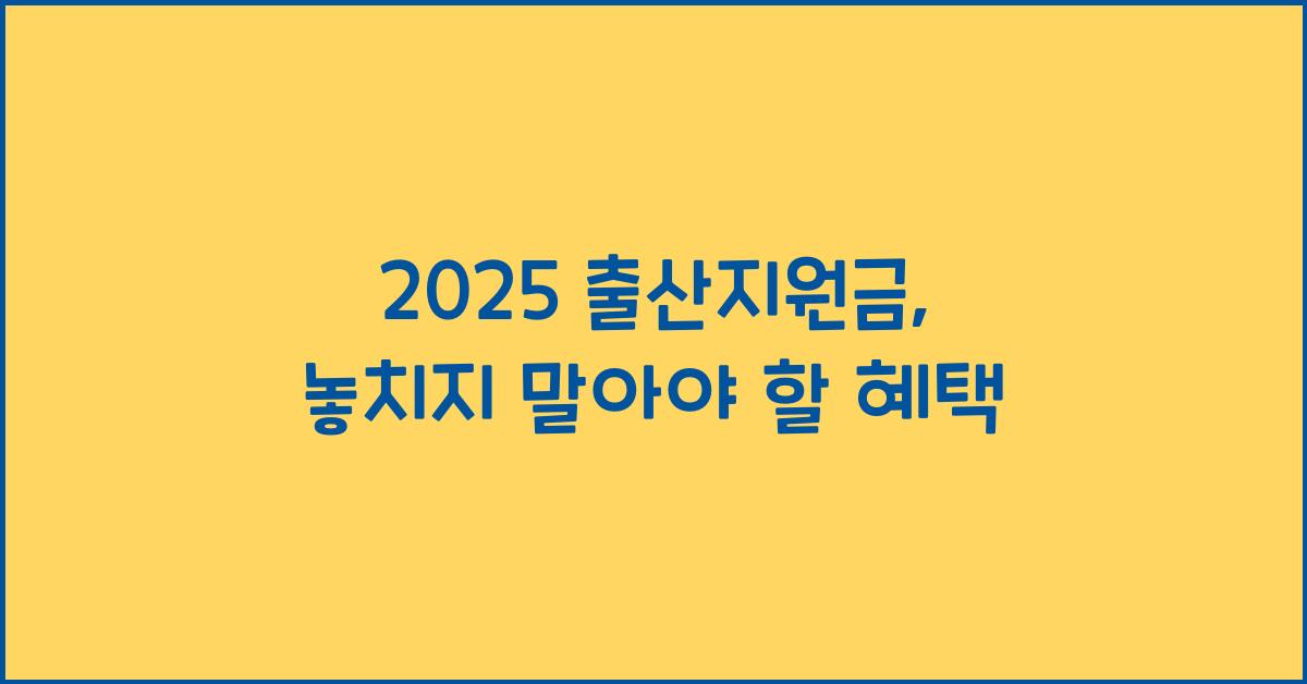 2025 출산지원금
