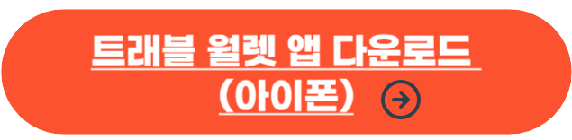 트래블 월렛 카드