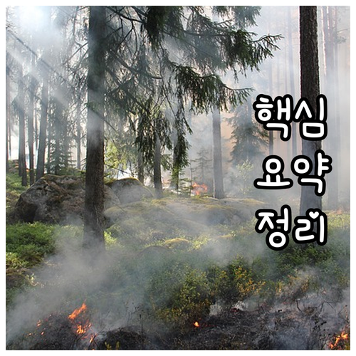 기술보증기금 2025 수출 중소기업 ..