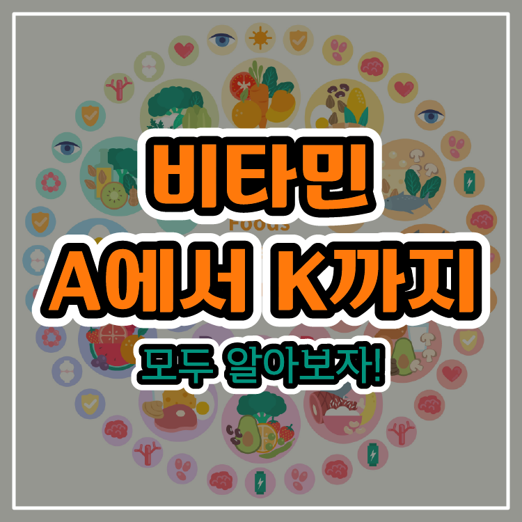 비타민 A에서 K까지 모두 알아보자!