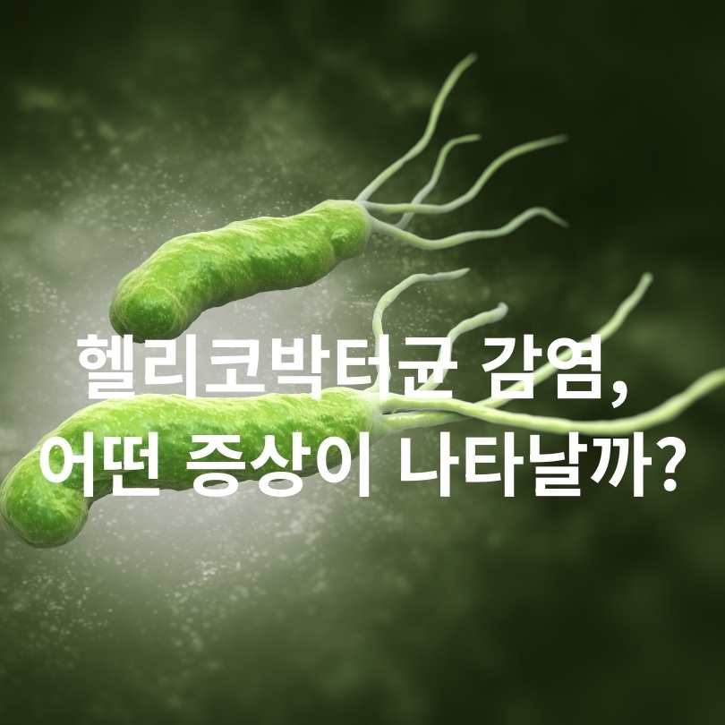 헬리코박터균 감염