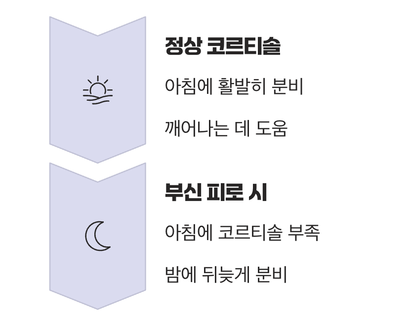 아침엔 좀비, 밤에는 올빼미가 되는 이유