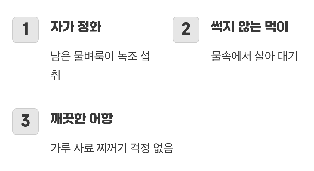 수질 오염 걱정 없는 똑똑한 먹이