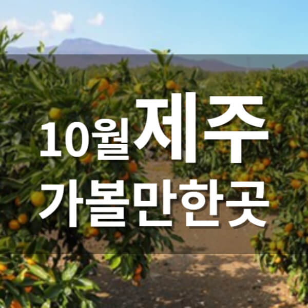 10월 제주도 가볼만한 곳&#44; 축제