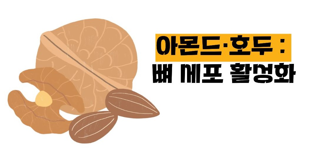 뼈에 좋은 음식