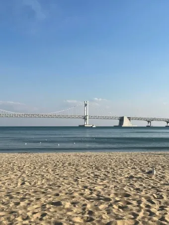 광안리 해수욕장 야경 명소와 데이트 코스 추천_12