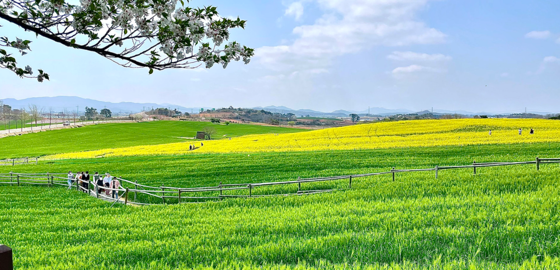 고창 학원농장 전경