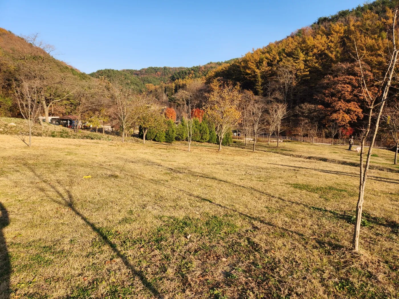 수리산-매쟁이골-입구-잔대밭-논오기전