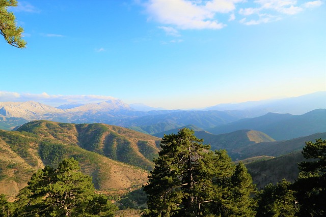 2026년 경기도 연천 농어촌 기본소득 대상 조건 금액