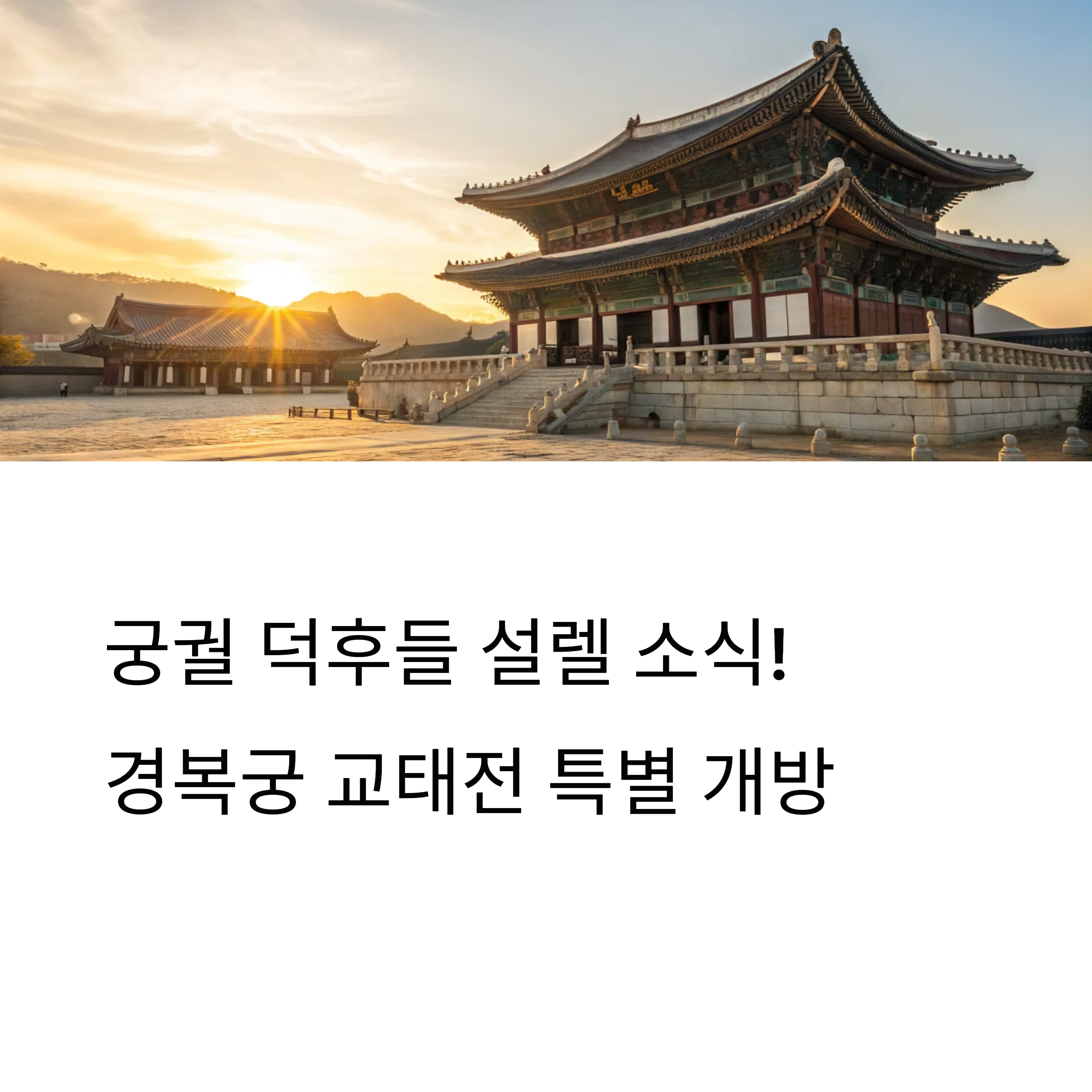 경복궁 교태전 특별 개방과 창덕궁 관람 예매 꿀팁 총정리
