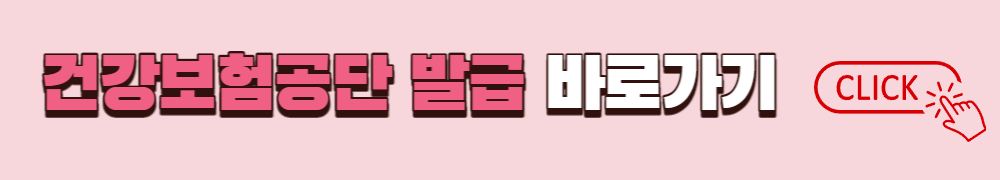 국민건강보험공단 발급