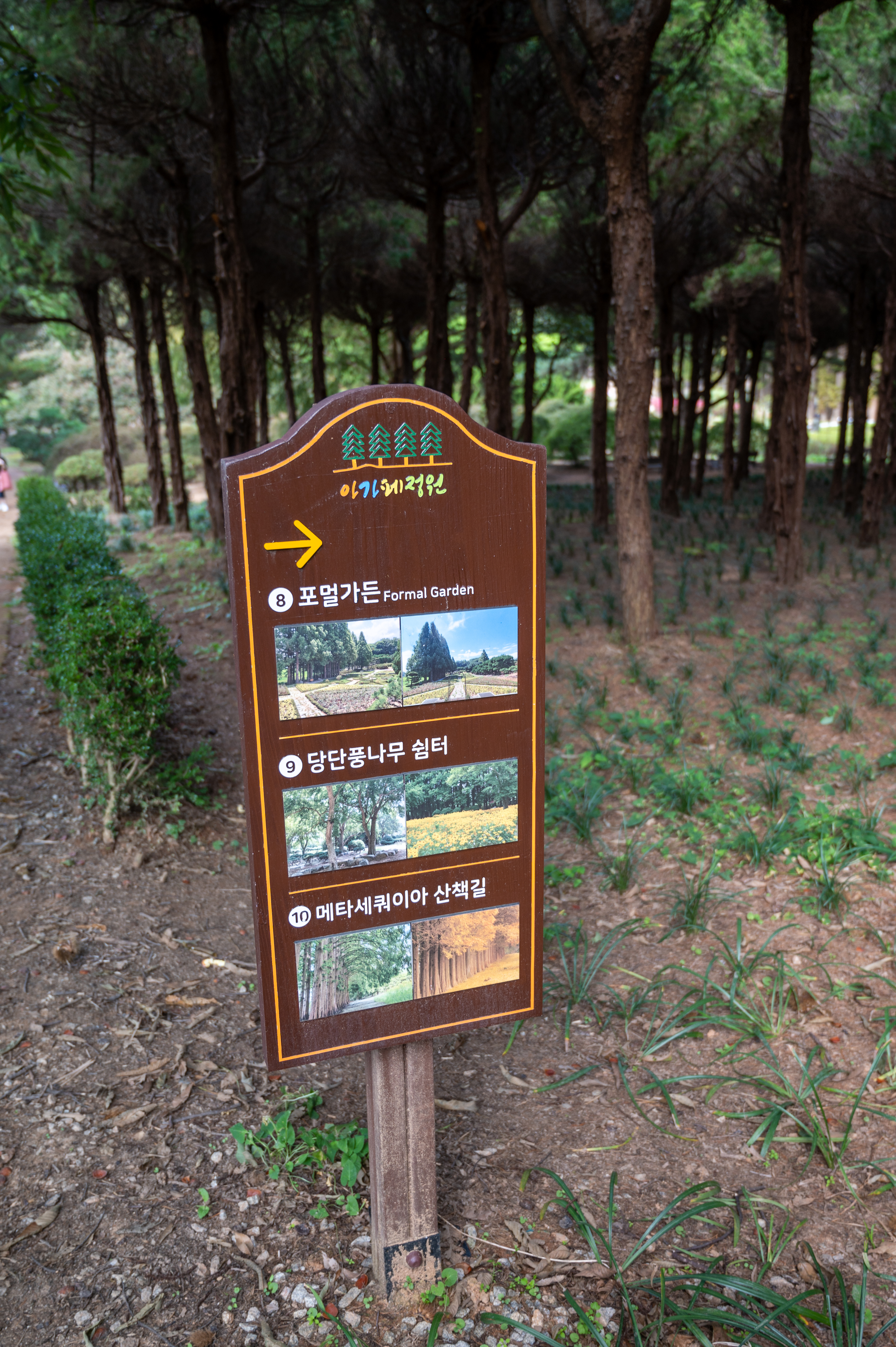 ์๊ฐํ ์ ์