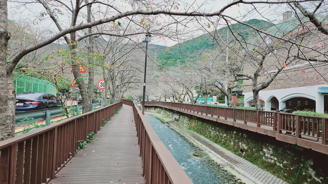 진해 여좌천