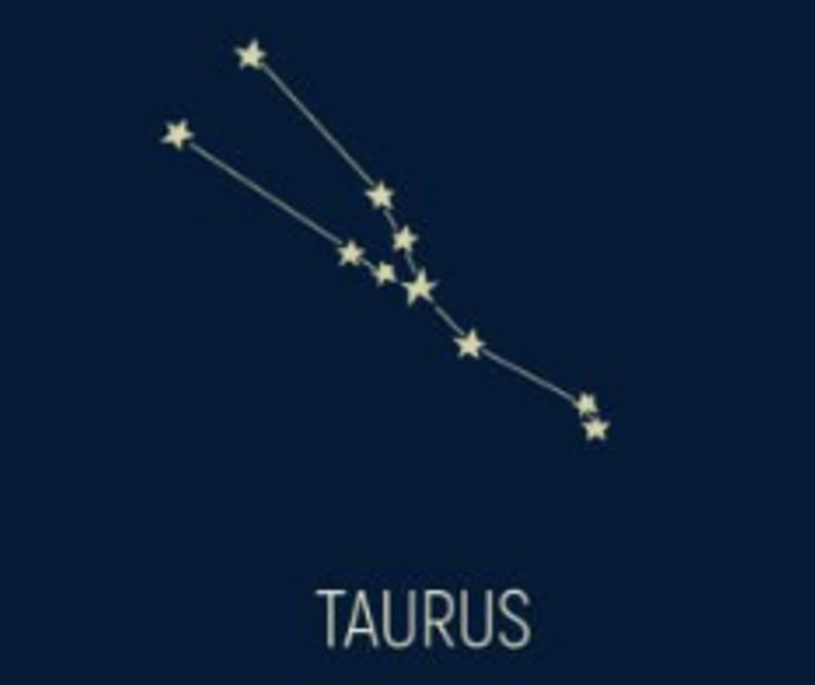 황소 별자리 - 황소자리 성격, 특징, 연애 상대