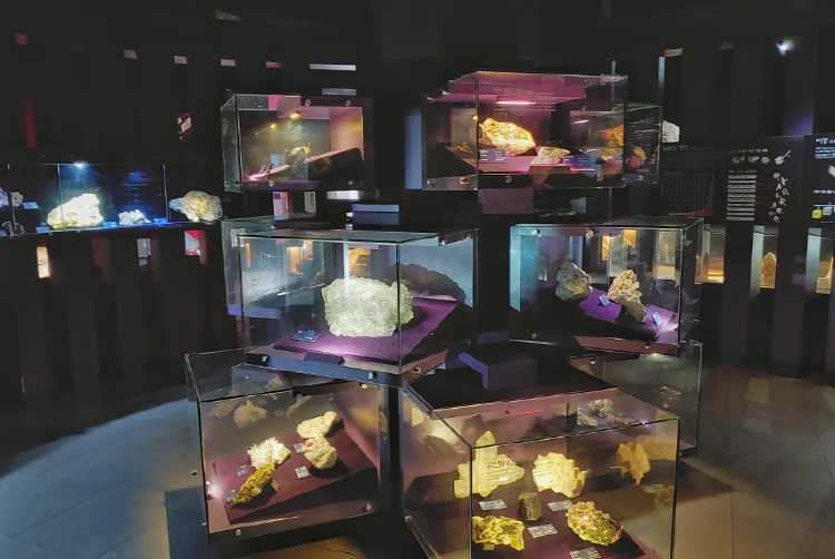 우석헌 자연사박물관