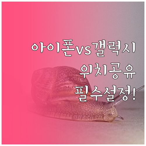 아이폰 나의 찾기와 갤럭시 삼성 파인..