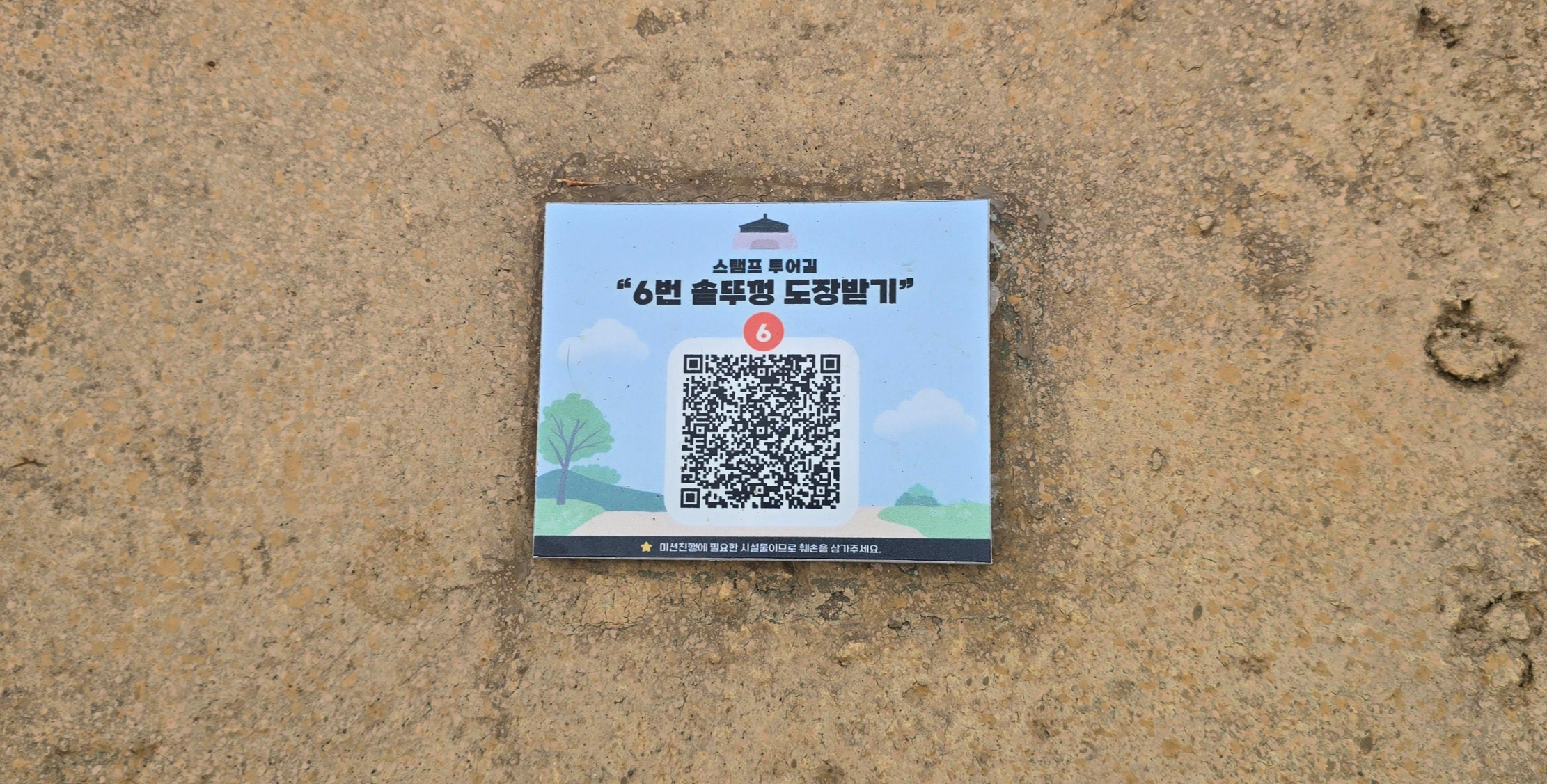 🌿 흐린 날이 더 좋았다?! 교동도 화개정원에서의 유쾌한 산책 미션