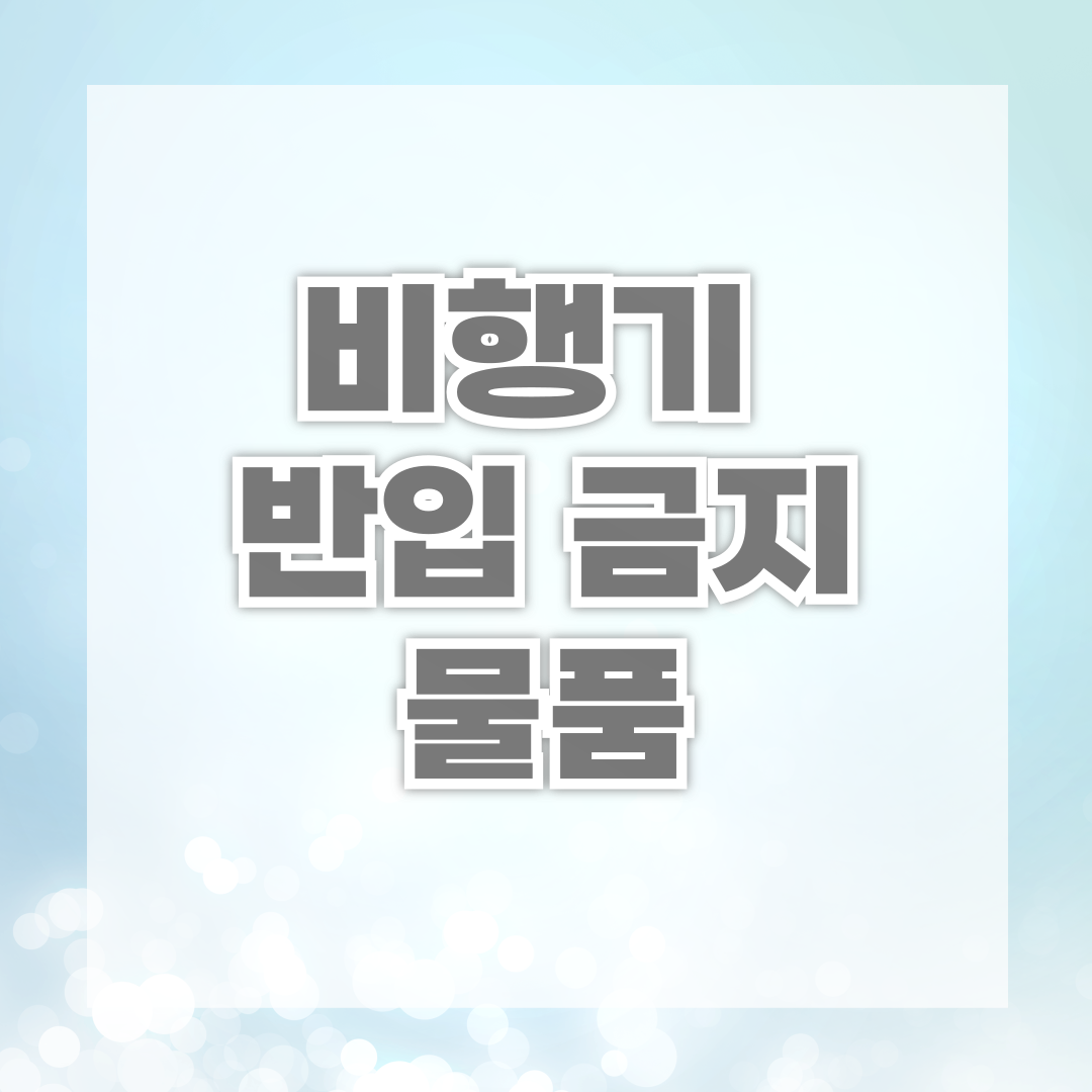 비행기 반입 금지 물품