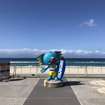 골드코스트 서퍼스파라다이스 비치