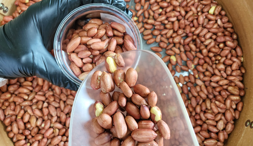 경남 창녕 햇땅콩 택배 주문 방법