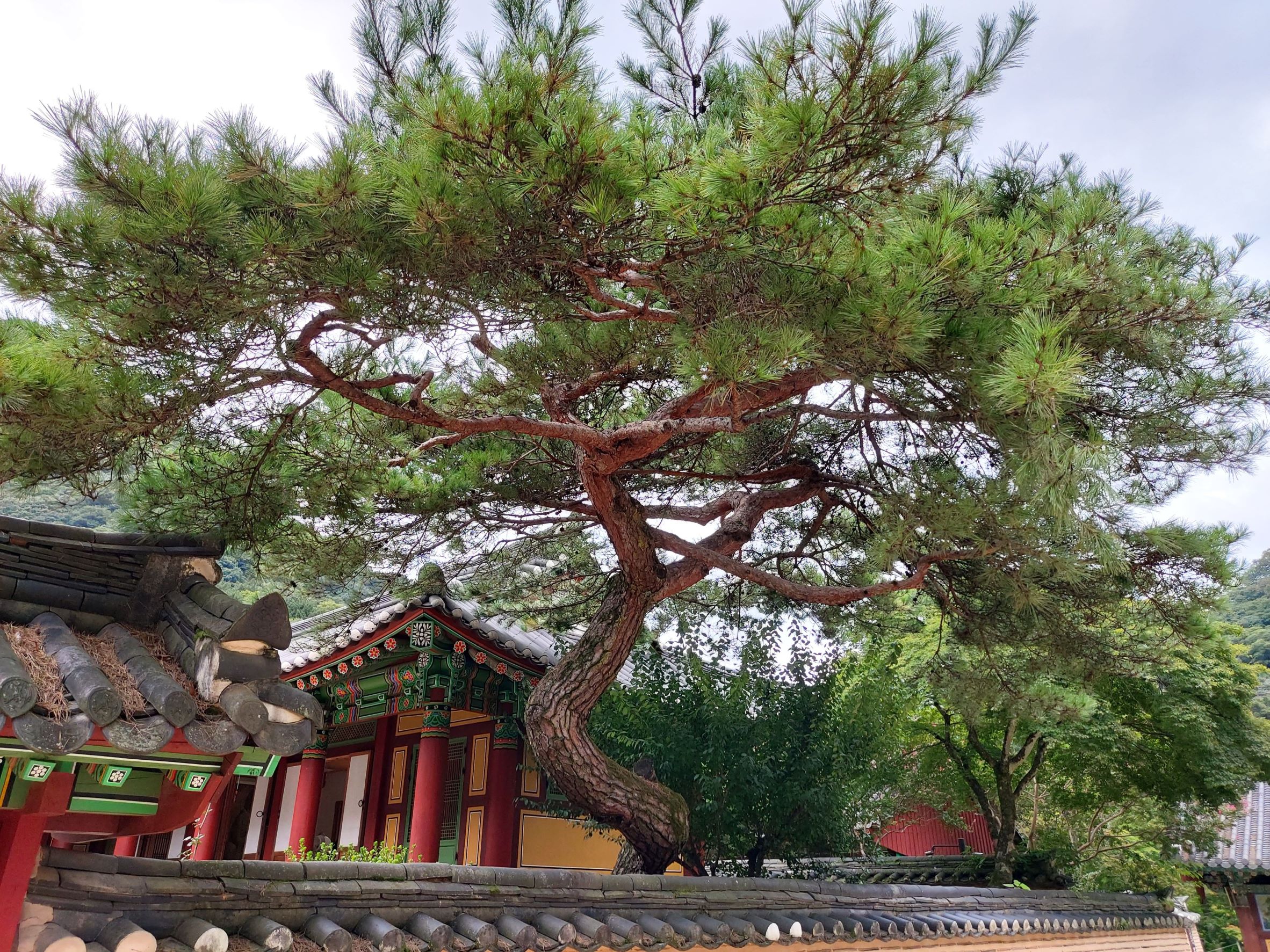 백양사 설선당