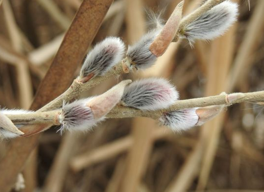 절기 &lsquo;우수(雨水)&rsquo;에도 강추위&hellip;봄보다 불붙은 산불 경보!