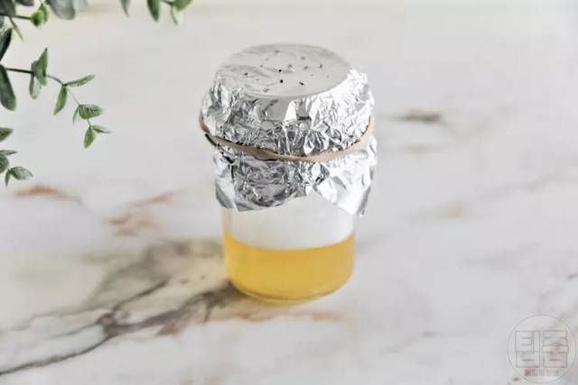 초파리 없애는법 사과식초 초파리트랩 역효과 고무줄