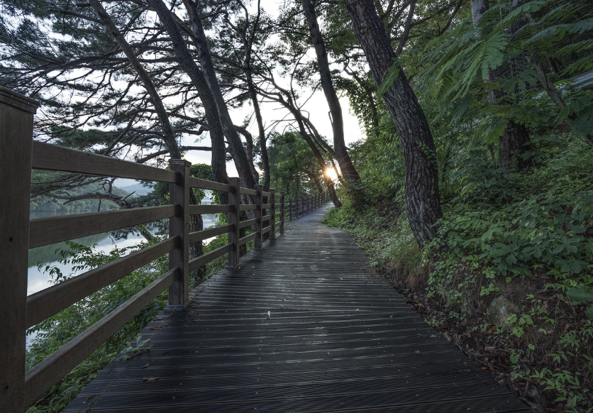 산책로 사진