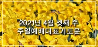 4월 기도문 모음 대표 기도 이미지_8