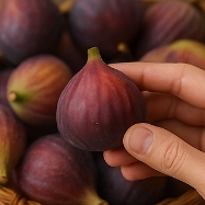 무화과 먹는 방법