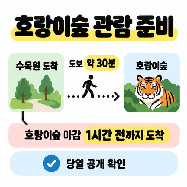 수목원에서 호랑이숲까지 도보 약 30분 이동하며 호랑이숲 마감 한 시간 전까지 수목원에 도착하고 당일 공개 안내를 확인하도록 설명한 도식