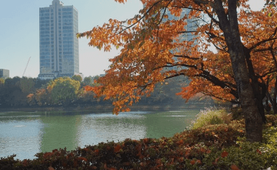 서울근교 단풍 명소 추천