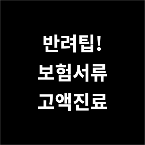 반려동물 보험 첫 청구부터 고액 진료..